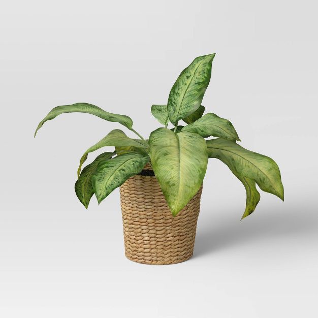 Green Leaf in Basket - Threshold™ | Target
