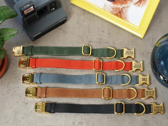 Leather Dog Collar Personalized with Laser Engraved Buckle | Etsy | Etsy (US)