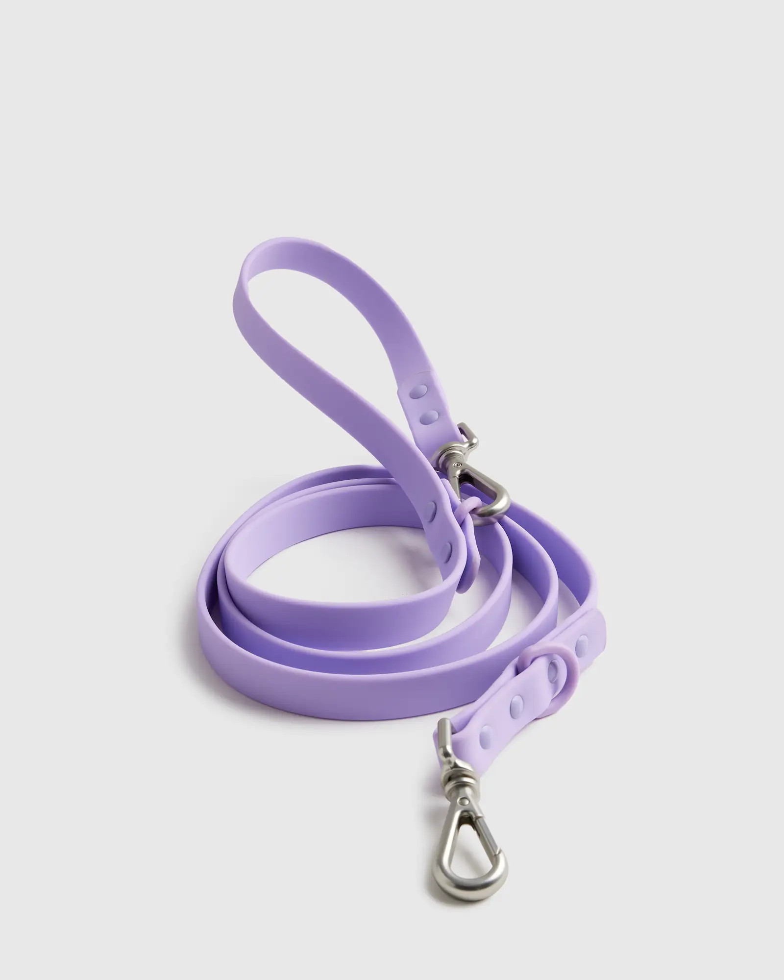 Flex-Poly Dog Leash | Quince