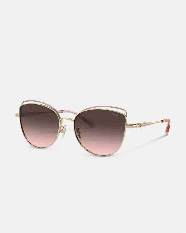 Bandit Wire Oval Sunglasses | Coach (US)