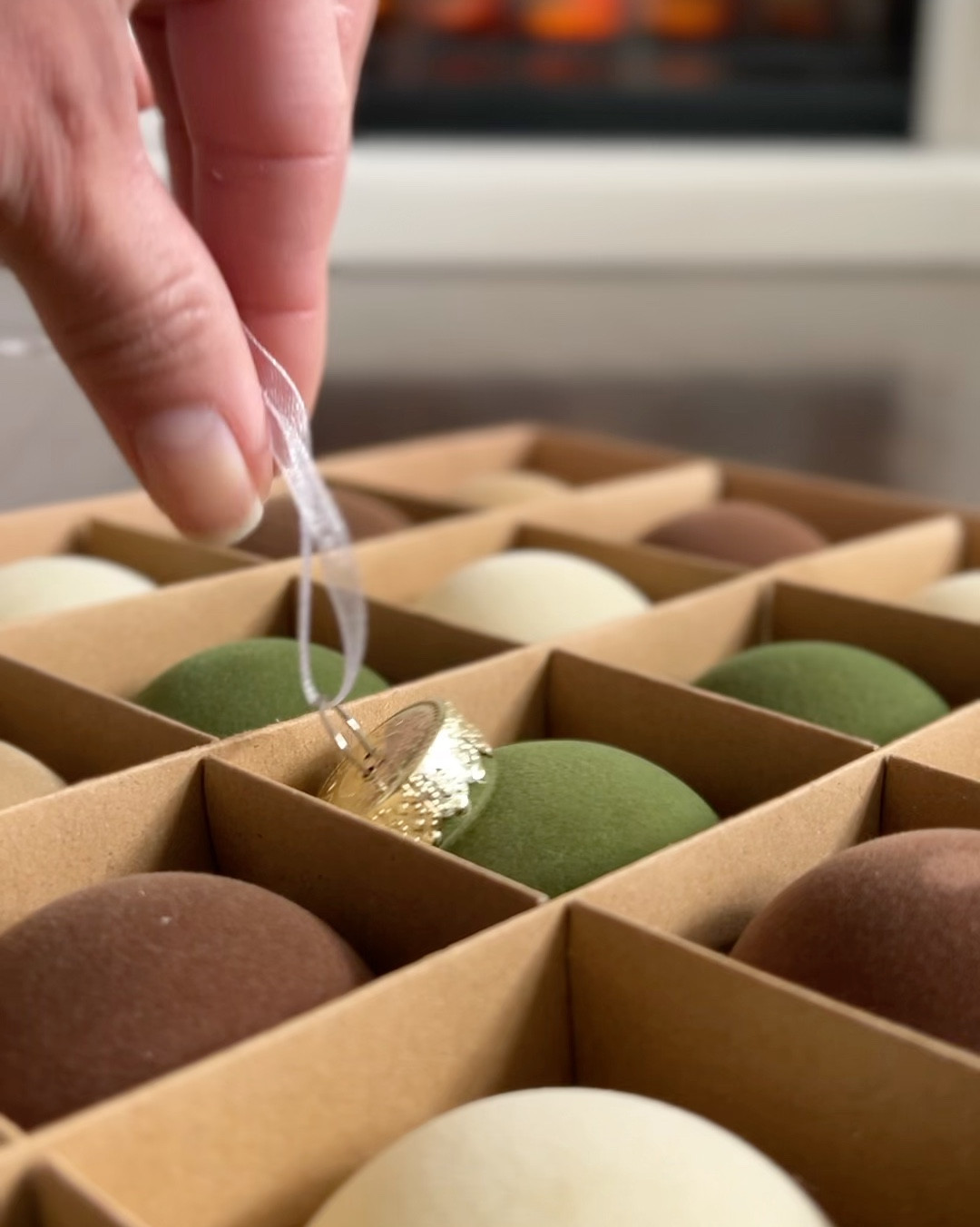 Shatterproof Earth Toned Velvet ornament’s to go with the Ralph Lauren Aesthetic. 

#LTKHoliday #LTKHome #LTKSeasonal