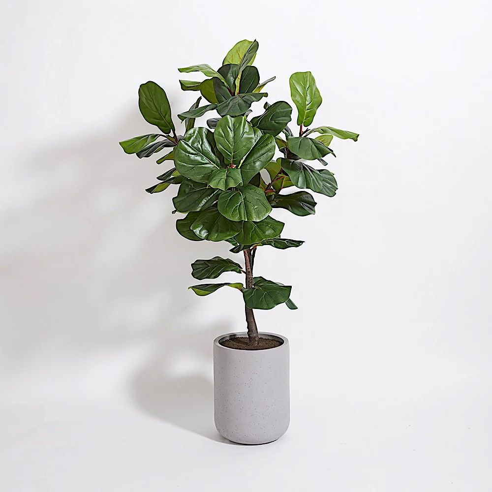 Faux Fiddle Leaf Fig Tree w/artisan pot| CG Hunter |Luxury Faux Plants | CG Hunter