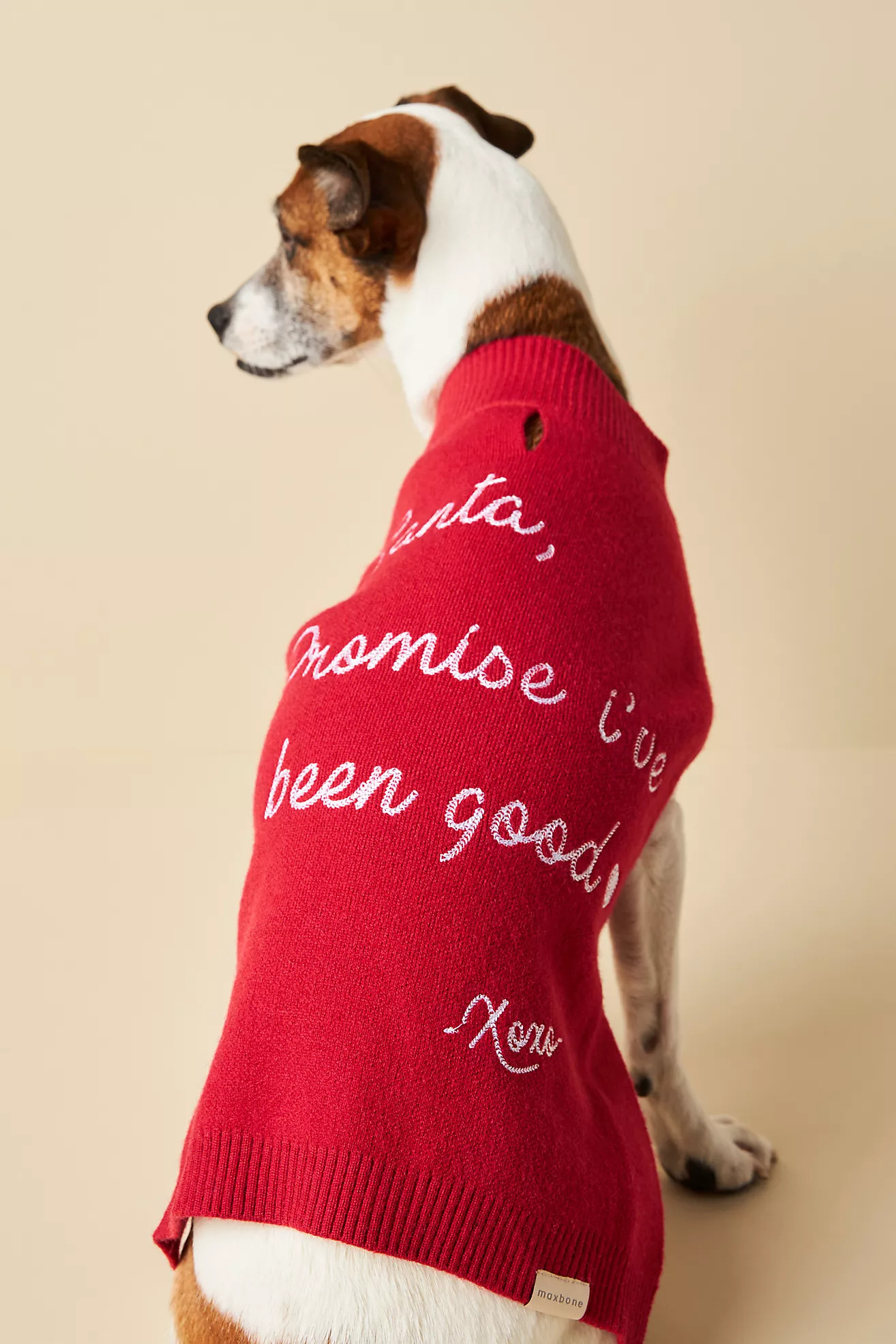Maxbone Dear Santa Dog Sweater | Anthropologie (US)