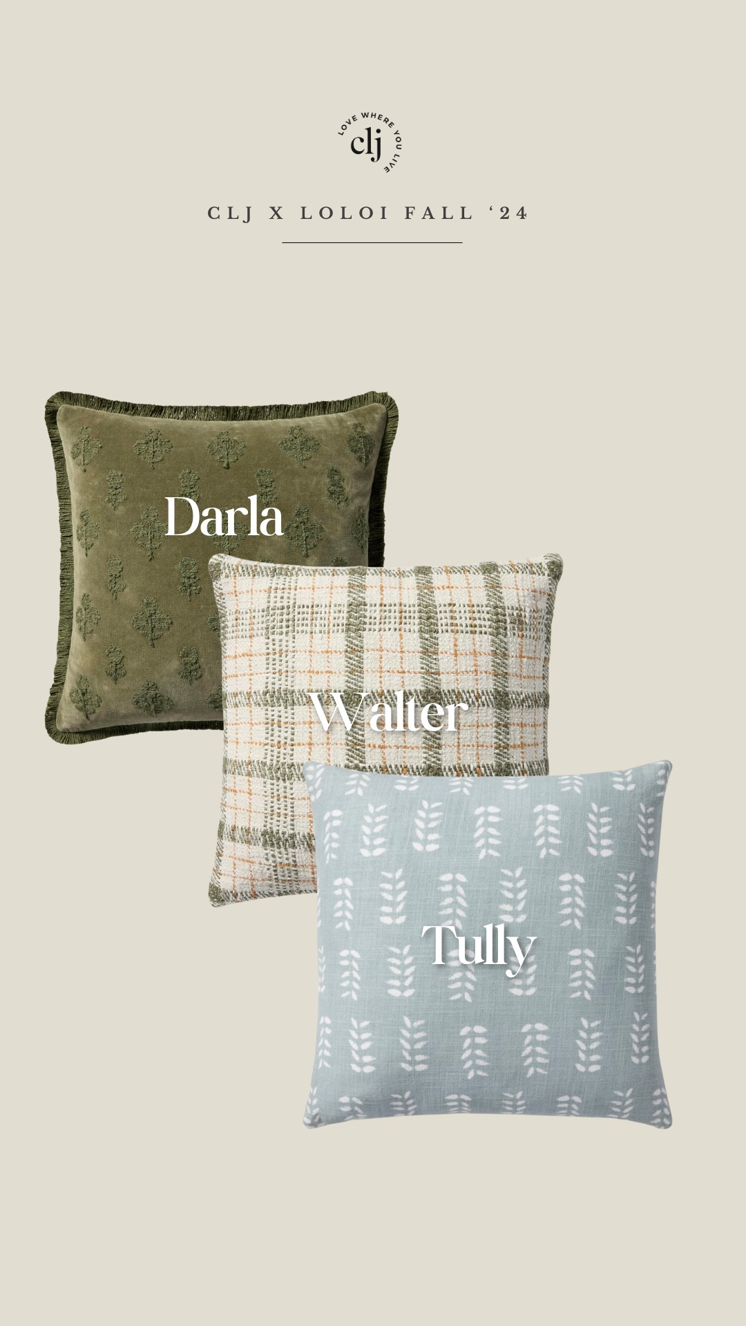 Introducing the CLJ x Loloi Pillow Collection 🤎

#LTKHome #LTKFindsUnder50 #LTKStyleTip