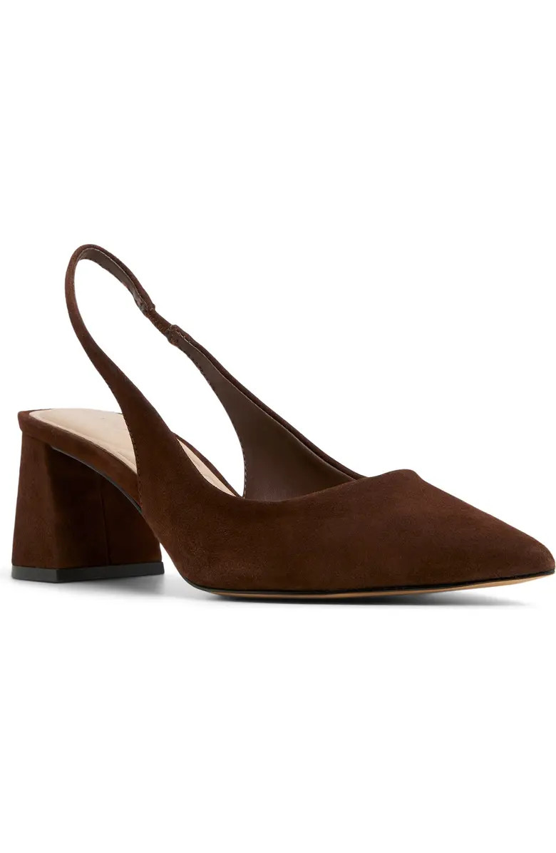 ALDO Uliana Slingback Pointed Toe Pump (Women) | Nordstrom | Nordstrom