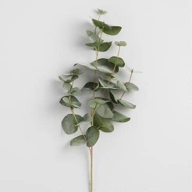 Faux Eucalyptus Spray | World Market