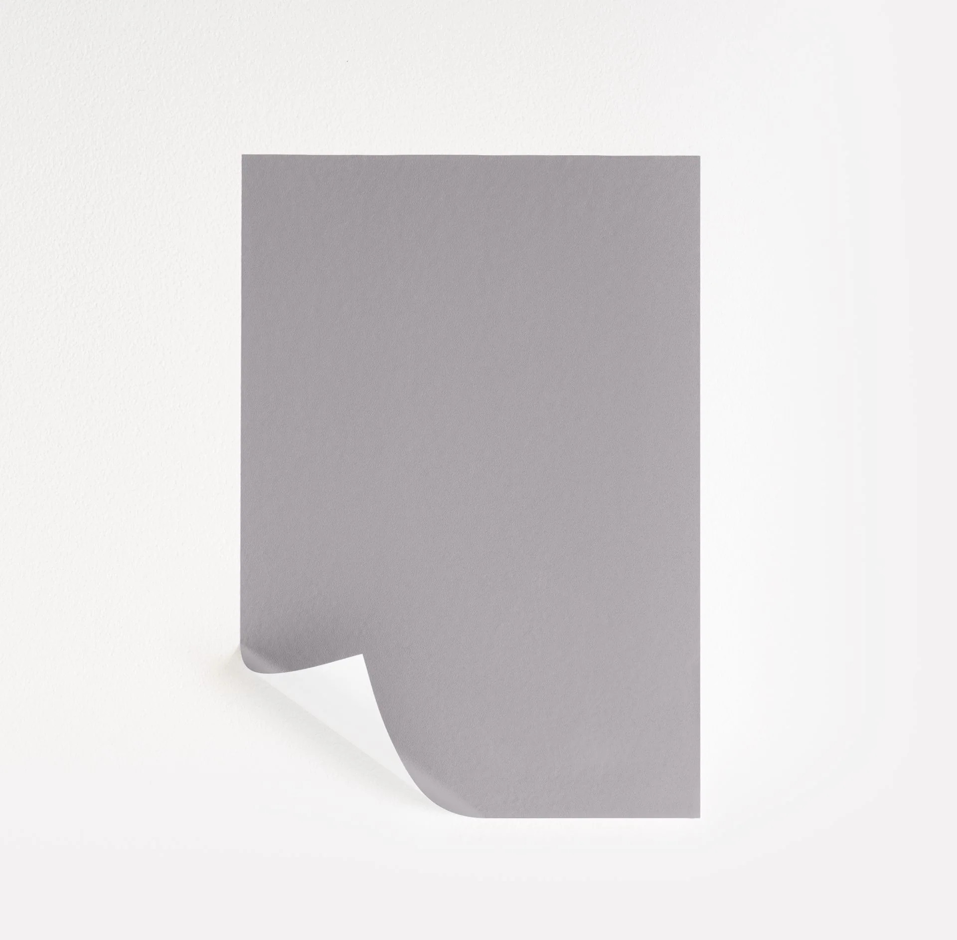 Swanky Gray  Paint Sample | Samplize