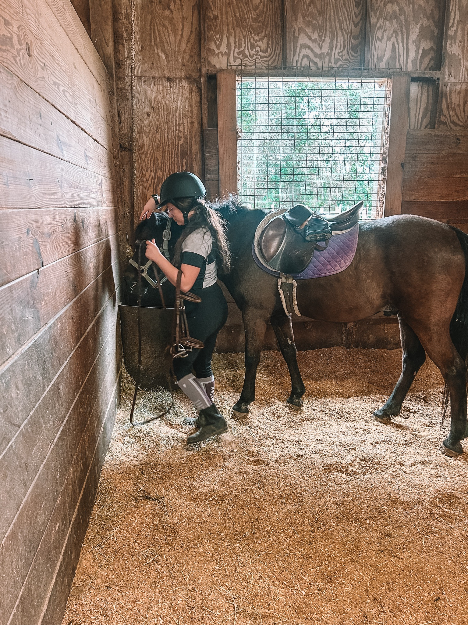 Riding Breeches. #amazon 

#LTKSpringSale #LTKsalealert