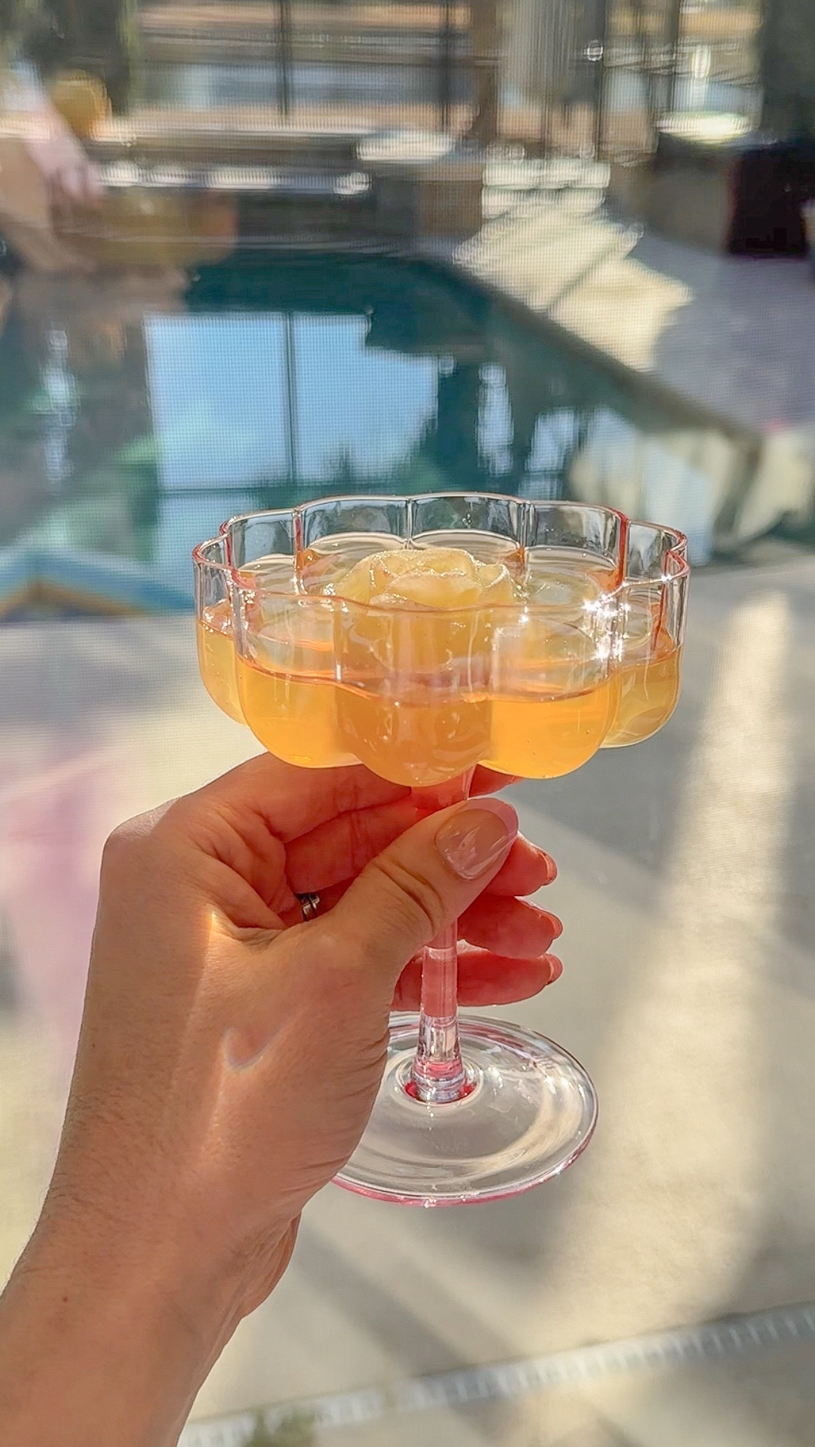 the perfect glass for a girls night 🎀💕 
.
.
.
#glass #glassware #champagne #champagneglass #bow #bowglass #cocktail #cocktails #cocktailrecipes #mocktail #mocktails #girlsnight #girlsnightout #girlsnightin #girlparty #cocktailparty #pinterest #pinterestinspired #pinterestaesthetic #aesthetic #amazon #amazonfinds #amazonmusthaves #girly #girlystuff