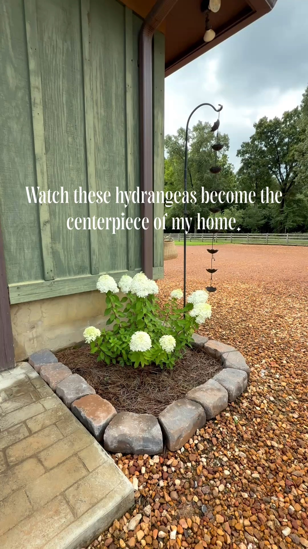 There's something so rewarding about bringing fresh blooms from the garden into my home. 🌿🤍 These homegrown hydrangeas add the perfect touch of color, texture, and timeless beauty to this vase, creating an arrangement that feels effortless and elegant. Sometimes the best decor isn't something you buy—it's something you grow. ✨🏡🌸 #target #threshold #LTKdayinmylife
