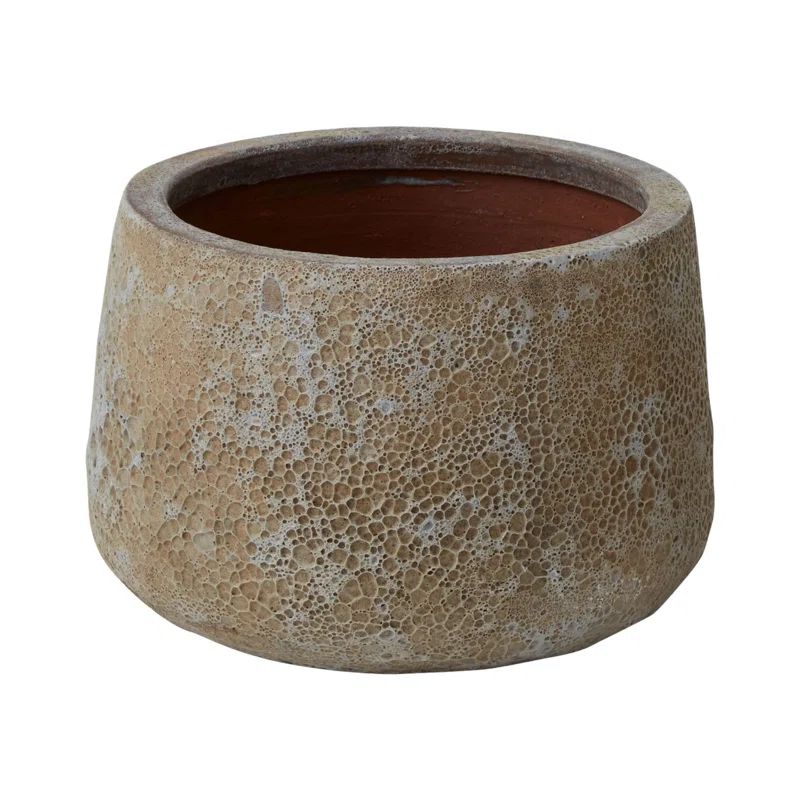 Adderley Ceramic Pot Planter | Wayfair North America