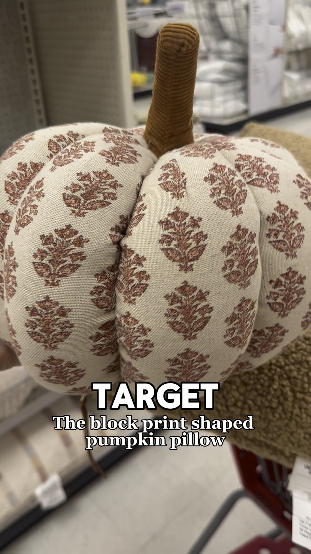 If I could choose just one pumpkin this would be jt 🙌🎃it’s the cutest!! 

#LTKVideo #LTKSeasonal #LTKHome