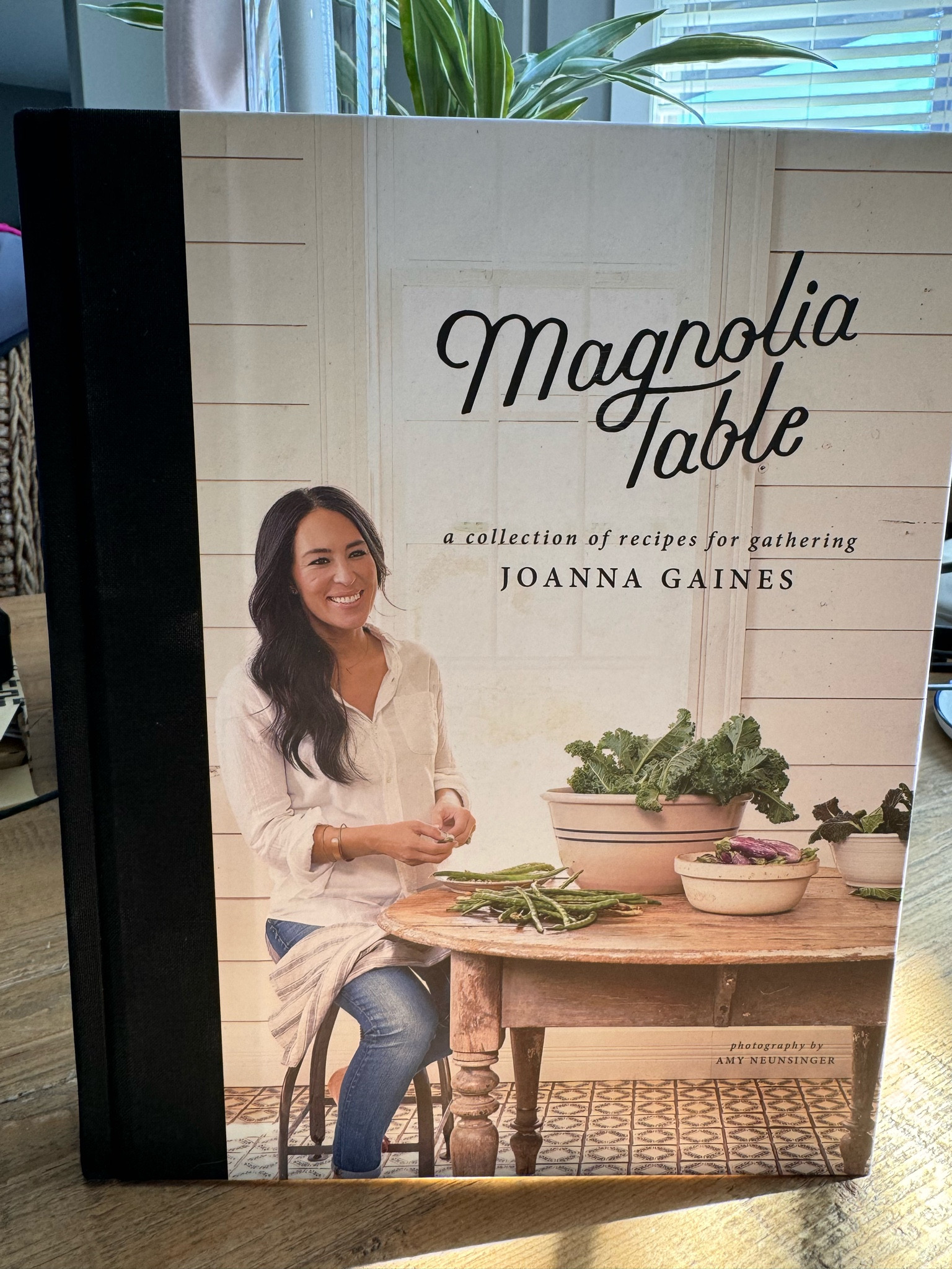 I’m already obsessed with this cookbook!  Would make a great gift for Mother’s Day!

Recipes, cookbook, Mother’s Day, Magnolia, cooking, gift ideas 

#LTKhome #LTKGiftGuide #LTKfindsunder50