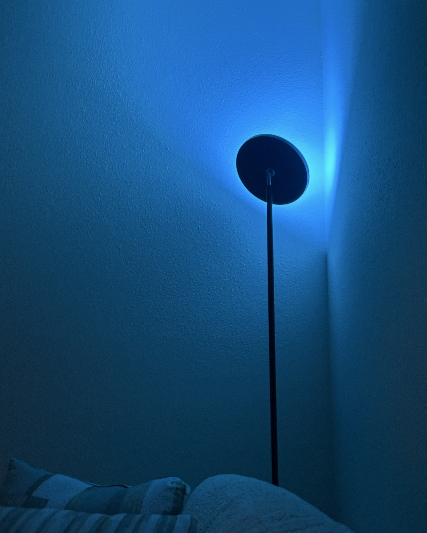 💡💙 #lighting #moodlighting

#LTKHome #LTKFindsUnder50