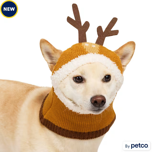Merry Makings Reindeer Antlers Pet Beanie, Large/X-Large | Petco