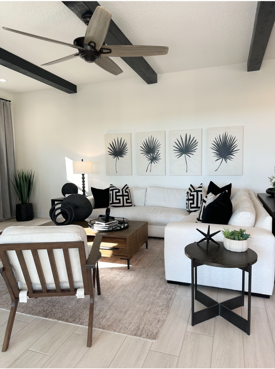 Black and White Neutral Living Room 

#LTKhome #LTKstyletip