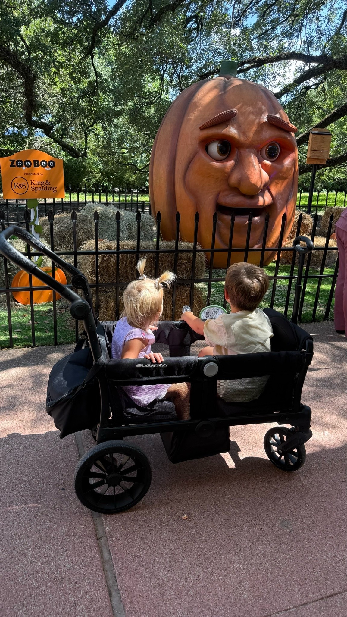 Trip to the zoo means the wagon makes its appearance ☺️ our wagon is on sale for a limited time as well, $189.98 vs $215.99!