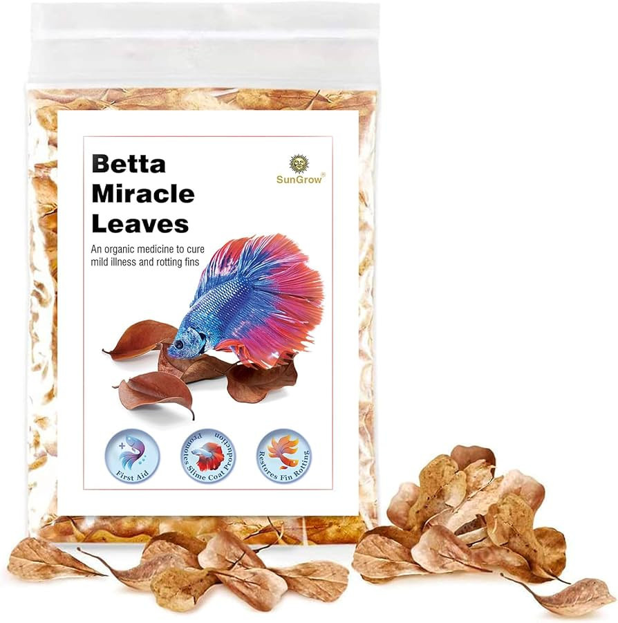 SunGrow 50 pcs Catappa Indian Almond Leaves for Betta Fish Tank Aquarium, 2” Water Conditioner ... | Amazon (US)
