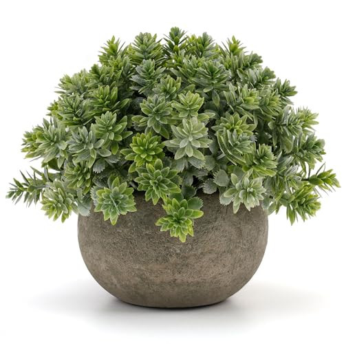 Gresorth 4.72 Inch Small Artificial Potted Plant Decoration in Pulp Pots Fake Greenery Topiaries Model Realistic Vivid Bonsai Display for Home Table Photography Prop - 1 PCS | Amazon (US)