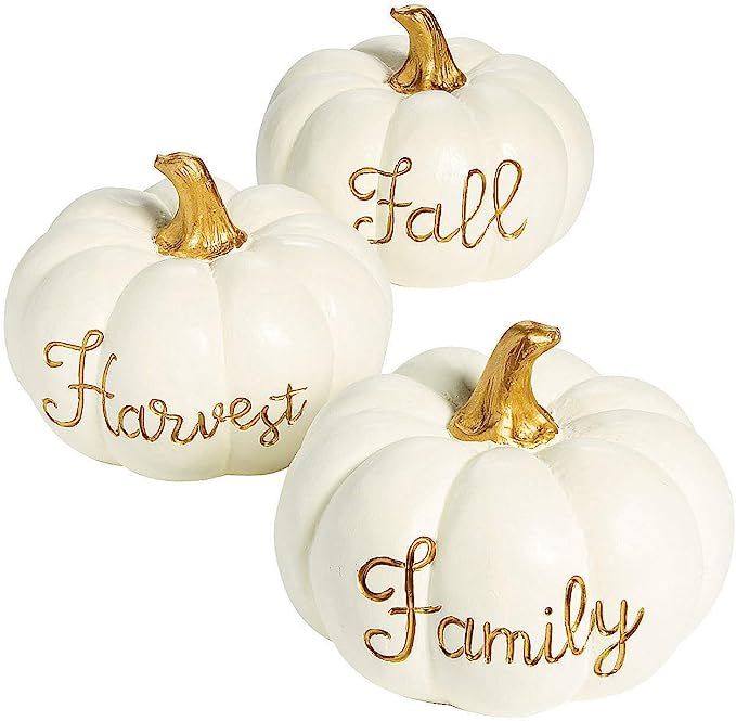 White Pumpkin with Gold Centerpieces (3 Piece Set) Fall and Halloween Home Decor | Amazon (US)