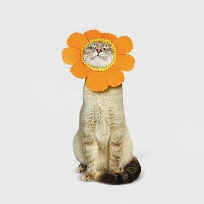 Halloween Orange Sunflower Cat Costume - Hyde & EEK! Boutique™ | Target
