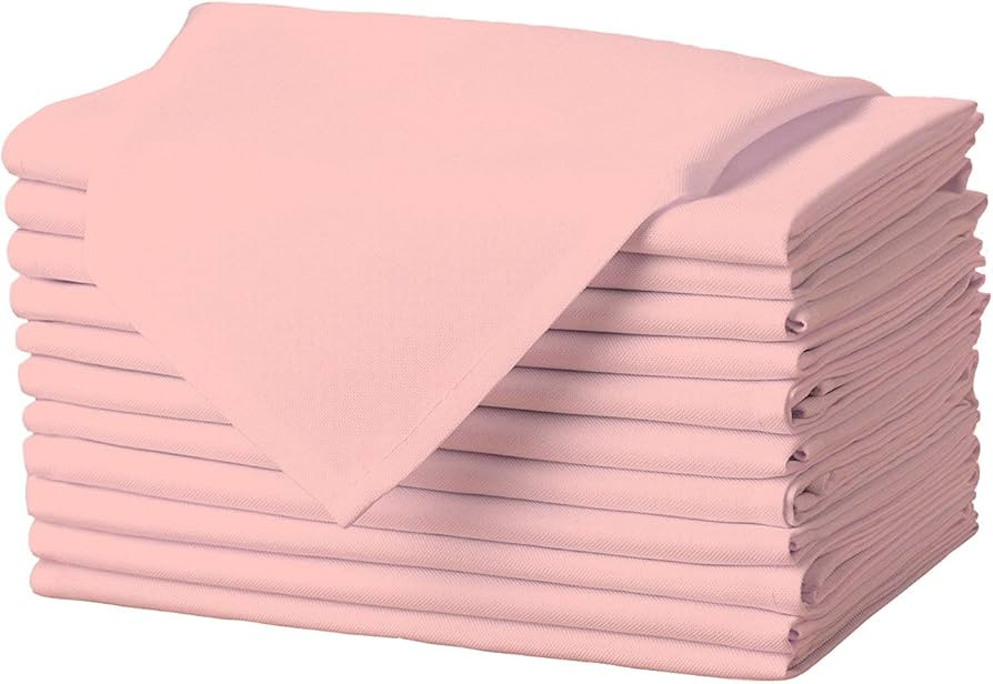Gee Di Moda Cloth Napkins - 17 x 17 Inch Pink Dinner Napkins - Set of 12 Soft & Absorbent Washabl... | Amazon (US)