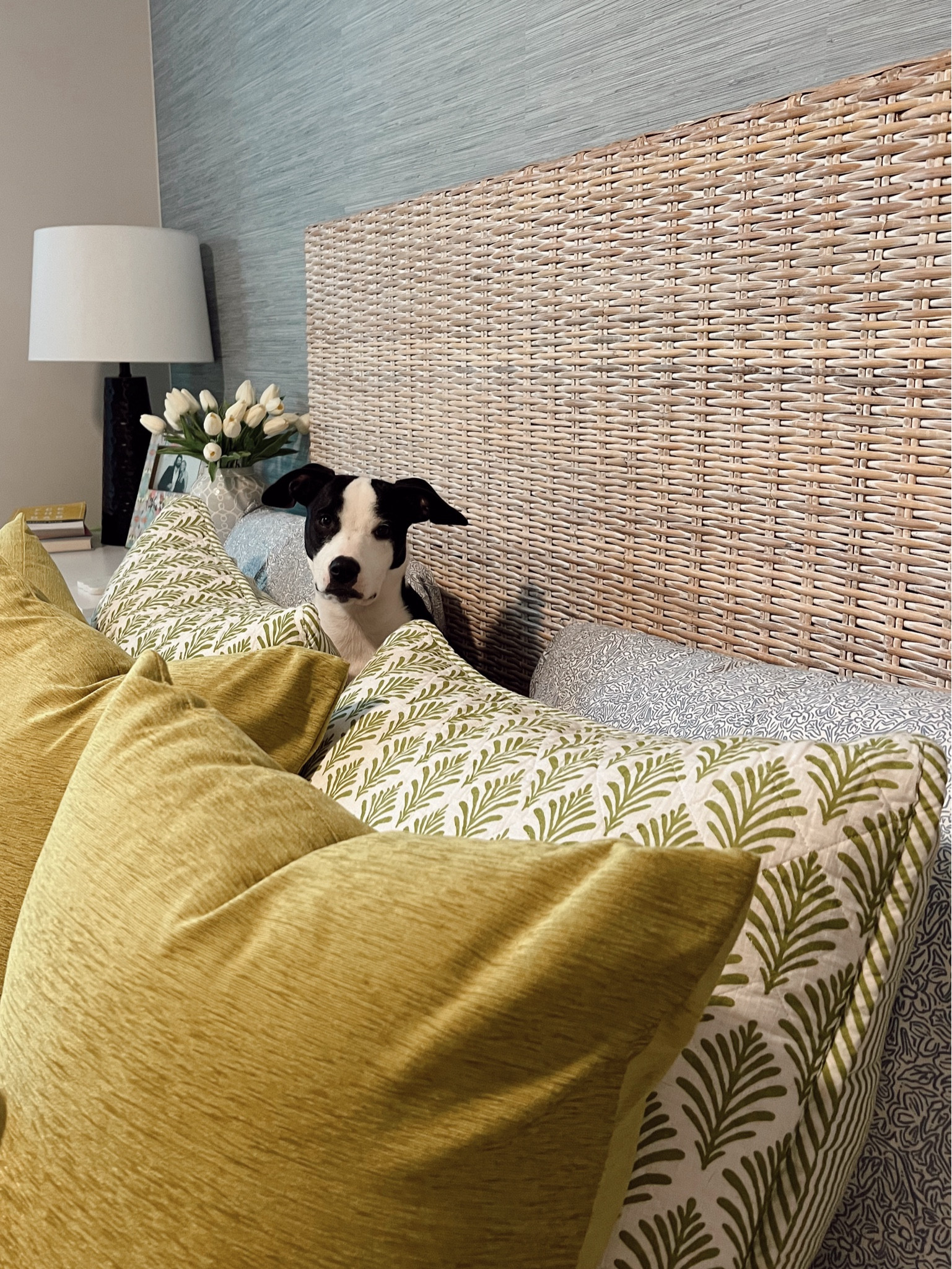 Good morning!!! Crimson’s favorite spot to snuggle🤍 

#LTKFindsUnder100 #LTKGiftGuide #LTKHome