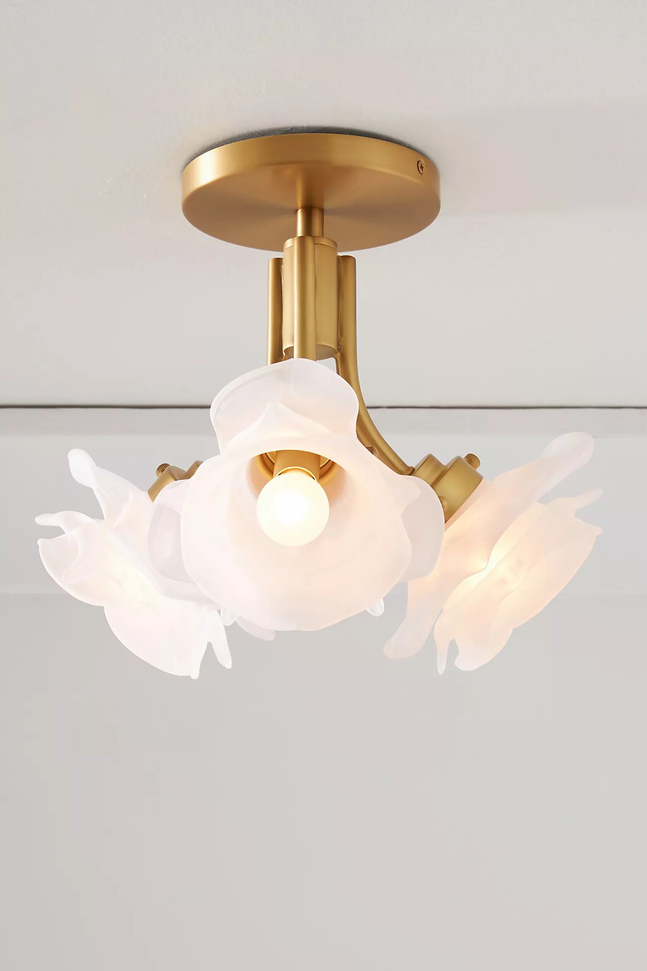 Blossom Flush Mount | Anthropologie (US)