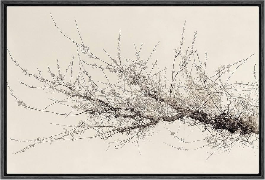 SIGNFORD Framed Canvas Print Wall Art Minimalist Branch with Blossoms in Sepia Tones Illustration... | Amazon (US)