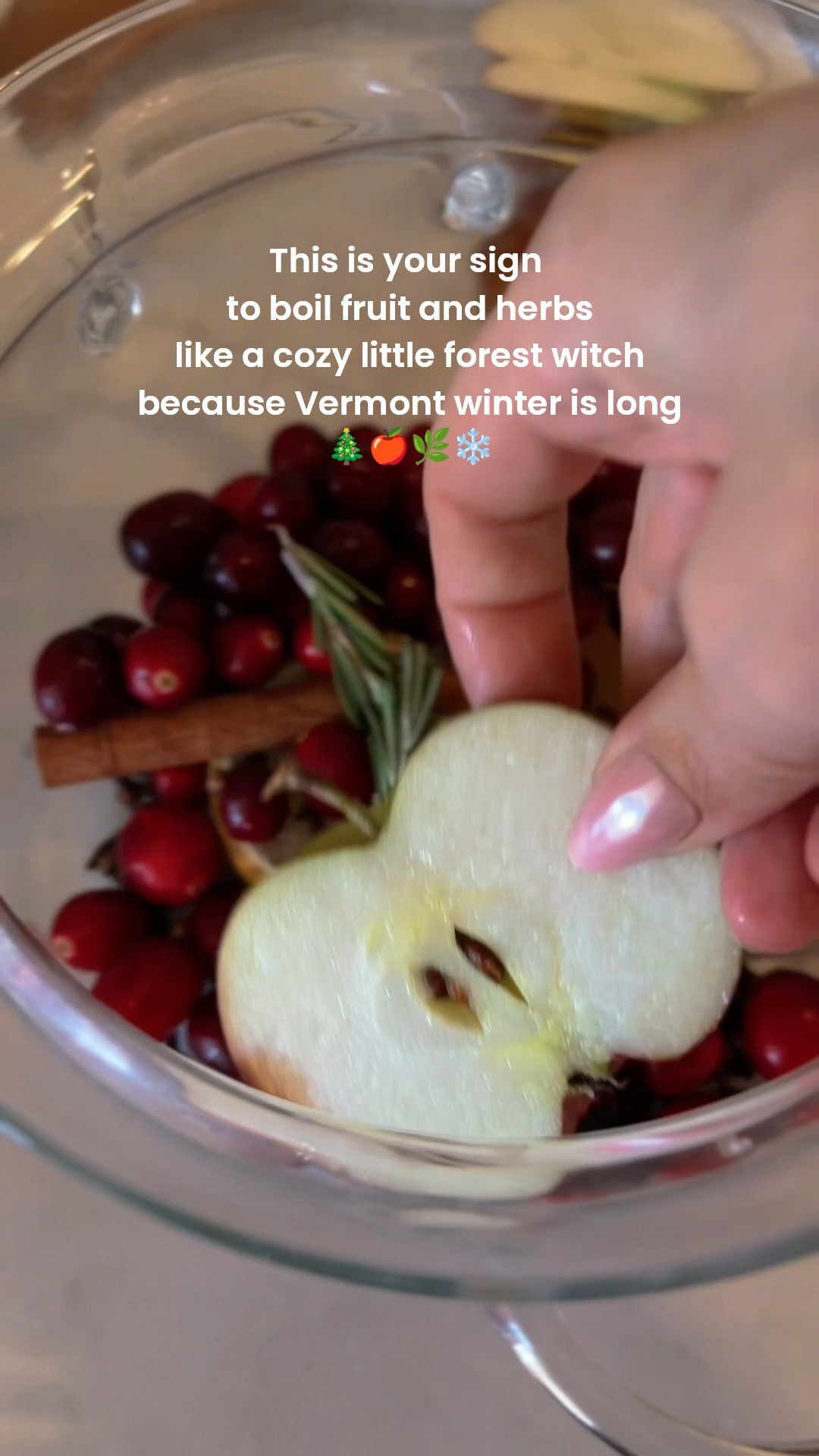 🎁 Gift idea & recipe below ⬇️ 
Here's my favorite way to
make my home smell like Christmas or like I just baked an apple pie without actually baking 😌

1 apple
1/2 lemon
1 tsp cloves
2 cinnamon sticks
1/2 cup cranberries
2 sprigs of rosemary

Bring to a boil and simmer on low. I like to store mine in the fridge after and use it for at least 3 days.

🎁 HOSTESS GIFT IDEA: My glass simmer pot is so pretty and affordable. Add some dried fruit, cinnamon sticks, cloves, and dried herbs. Make a pretty tag with the recipe. Add a bow and you have a beautiful, unique gift

🔖 hostess gift / simmer pot / gifts for host / diy gift / winter candle / glass pot 

#LTKHome #LTKHoliday #LTKSeasonal