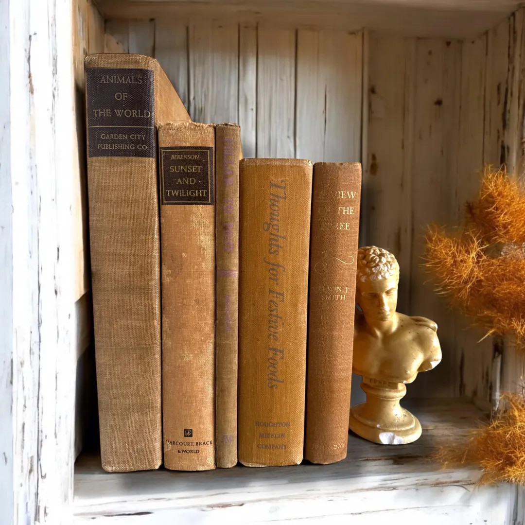 Vintage Shabby Fall Colored Books, Books for Home Decorating, Rustic Caramel or Terracotta Colore... | Etsy (US)