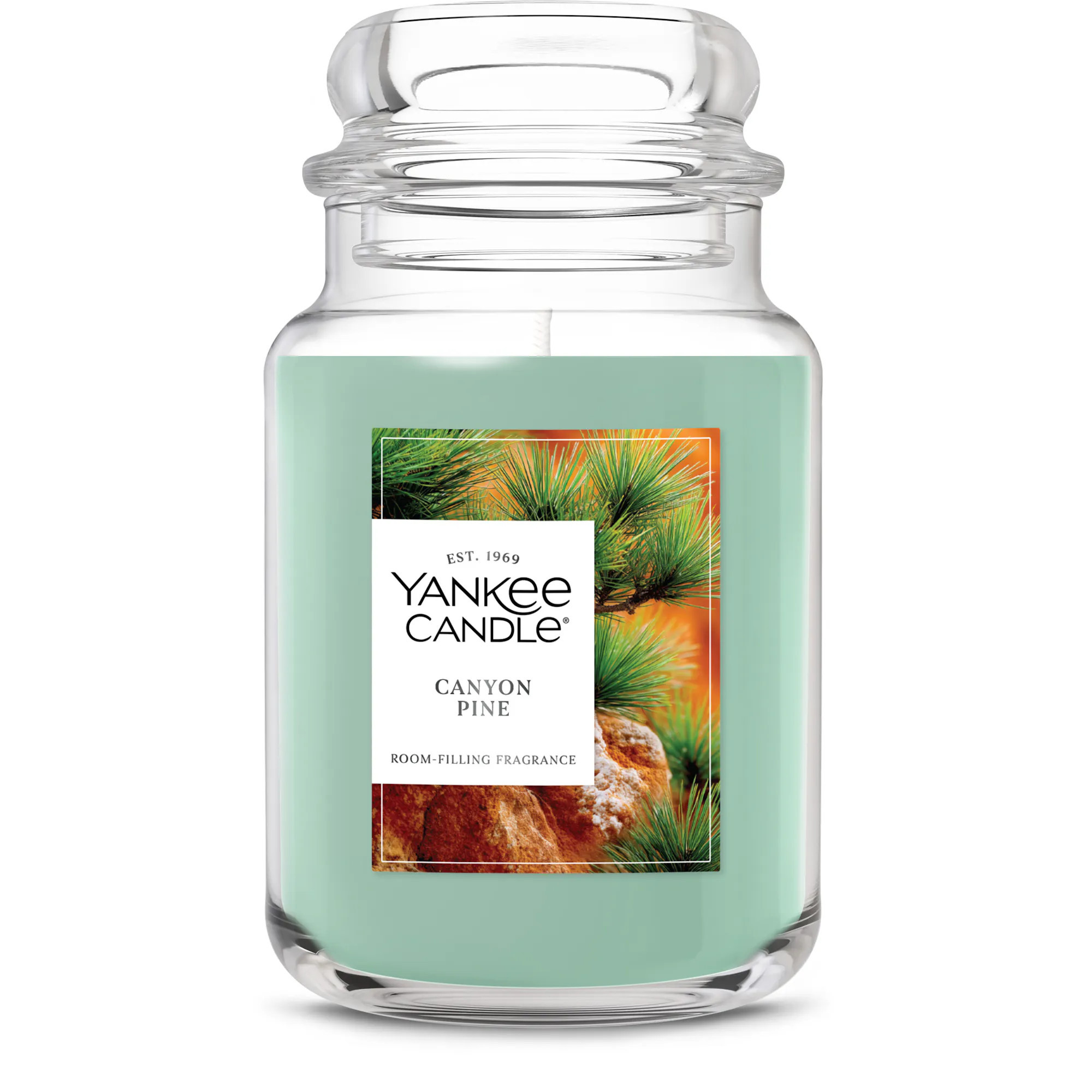 Canyon Pine Original Large Jar Candle, 22 oz | Yankee Candle