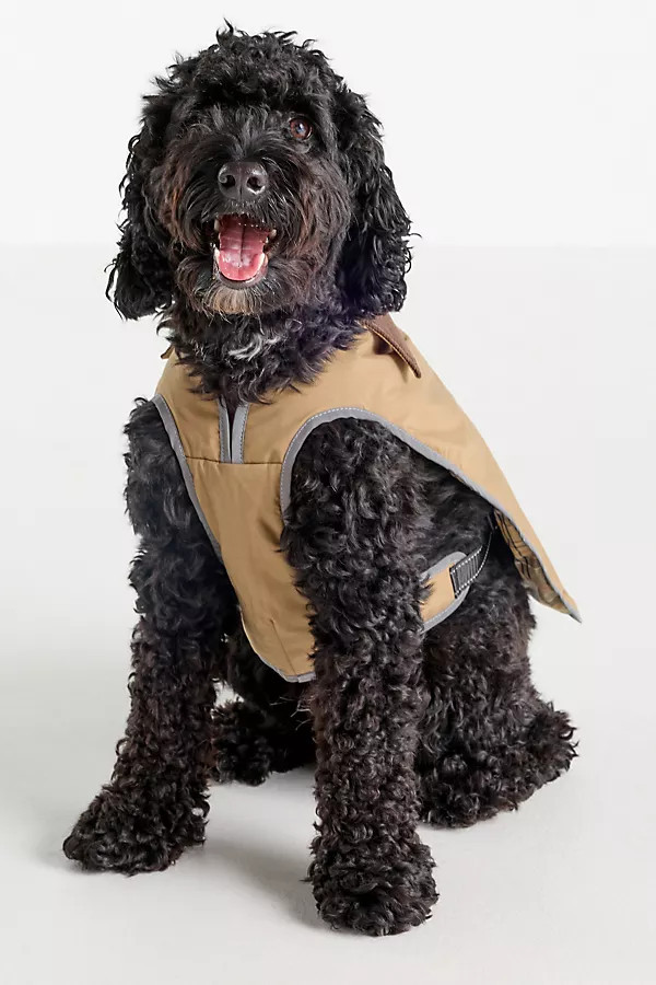 Monmouth Dog Coat Jacket | Anthropologie (US)