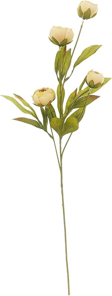 Ashland Tan Peony Stem | Amazon (US)