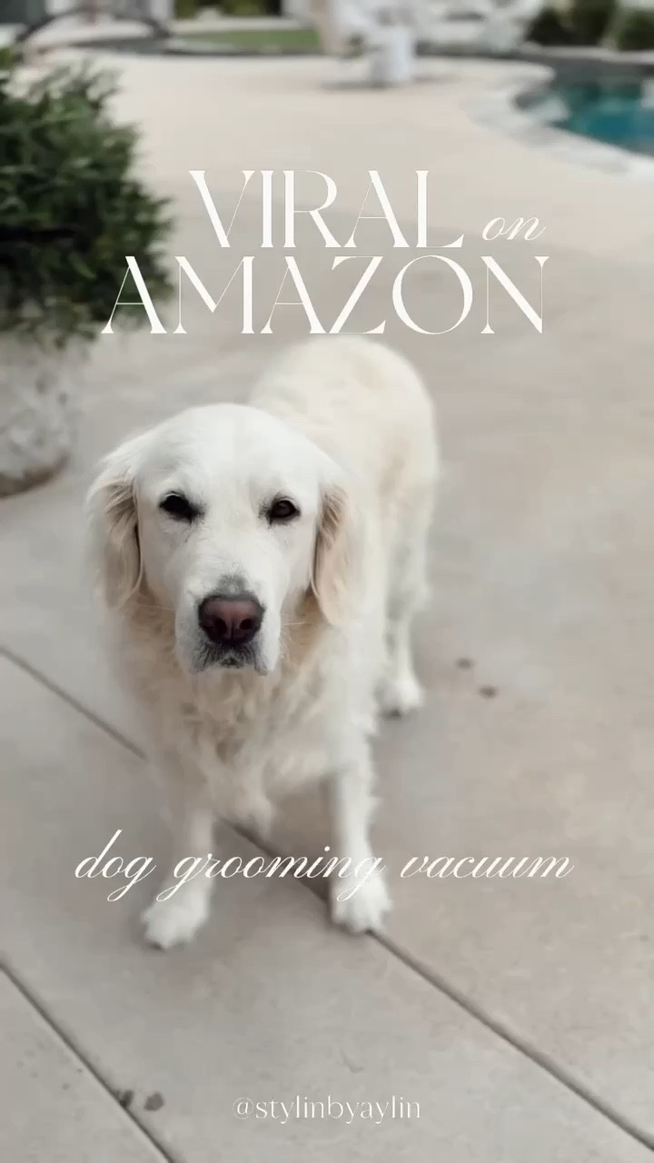 This dog grooming vacuum is a must have if you have pets! I love that it has a canister that sucks up all of the hair❗️ #stylinbyaylin #amazon #dogs 

#LTKHome #LTKmomlife #LTKselfcare