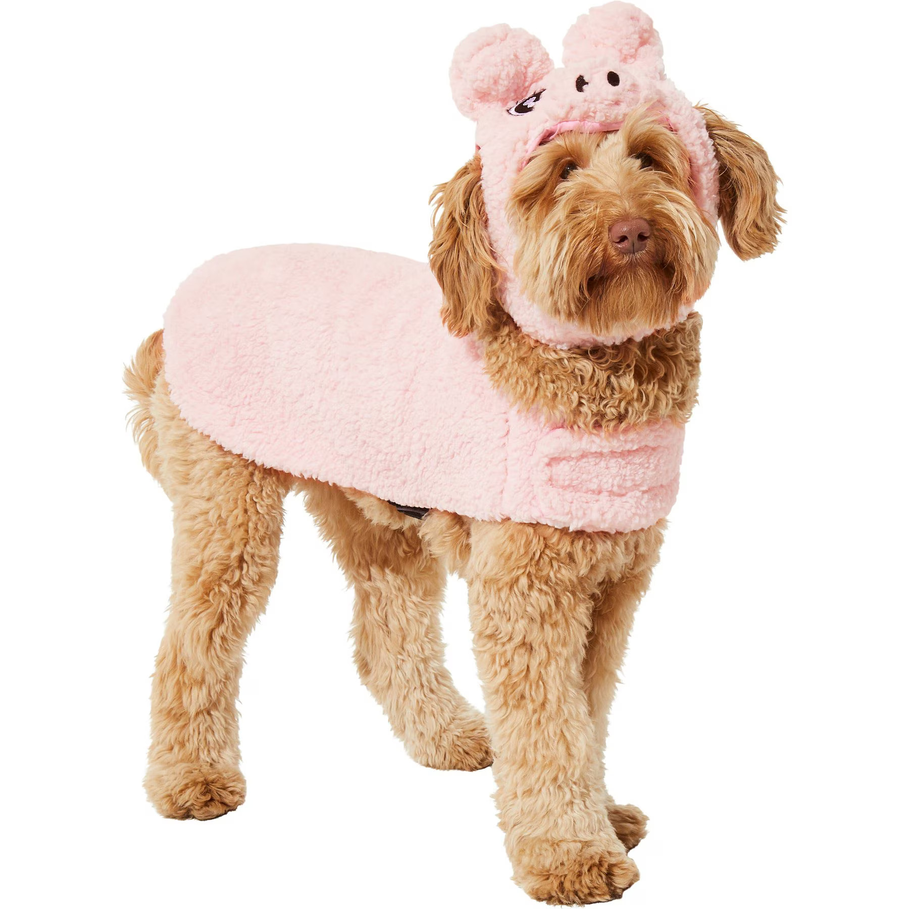 Frisco Pig Dog & Cat Costume | Chewy.com