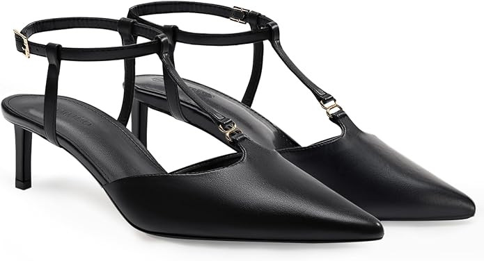 Coutgo Womens Kitten Heels T Strap Closed Pointed Toe Pumps Low Heel Ankle Strap Comfortable Dres... | Amazon (US)
