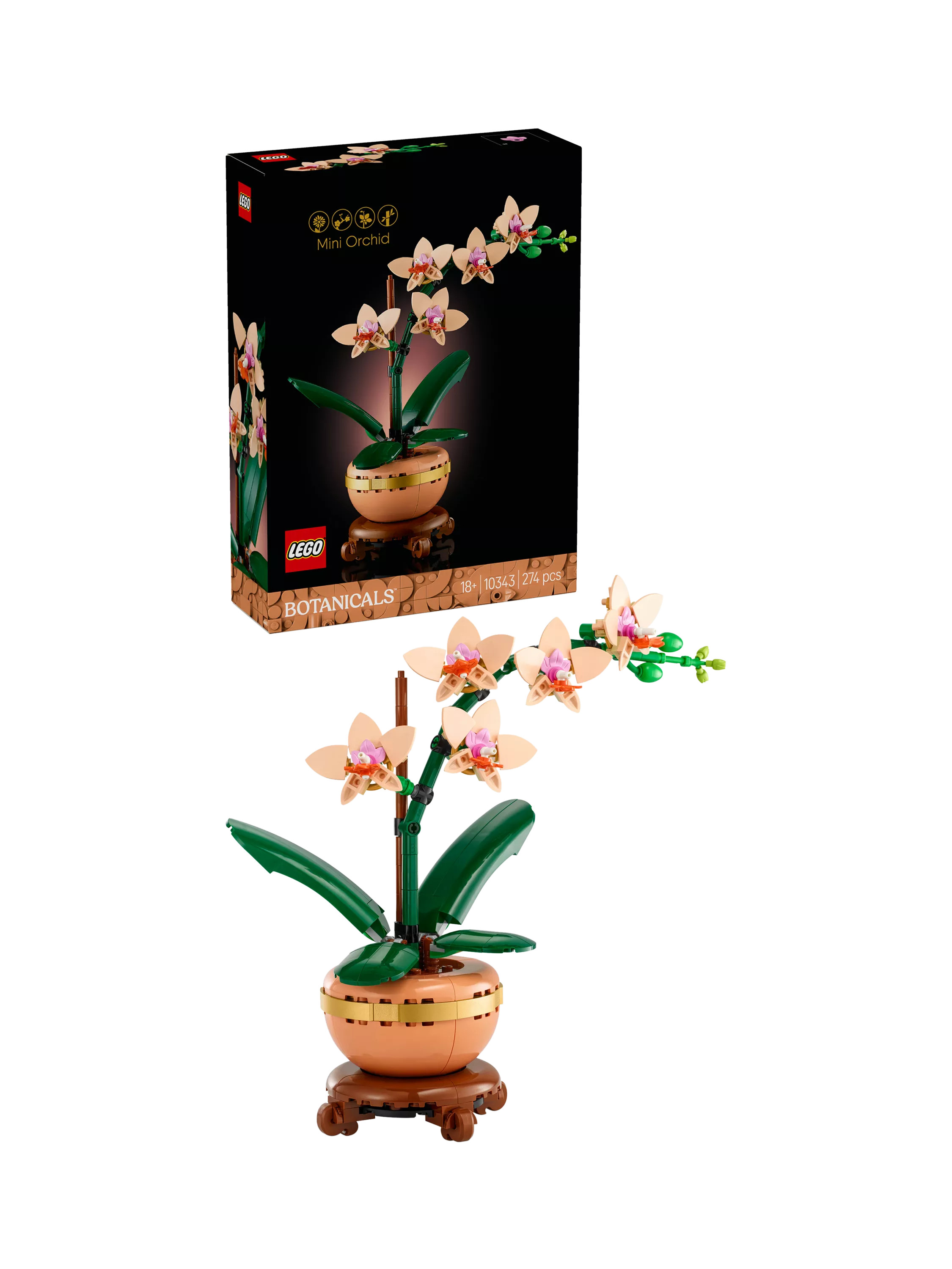 LEGO Botanicals 10343 Mini Orchid | John Lewis (UK)