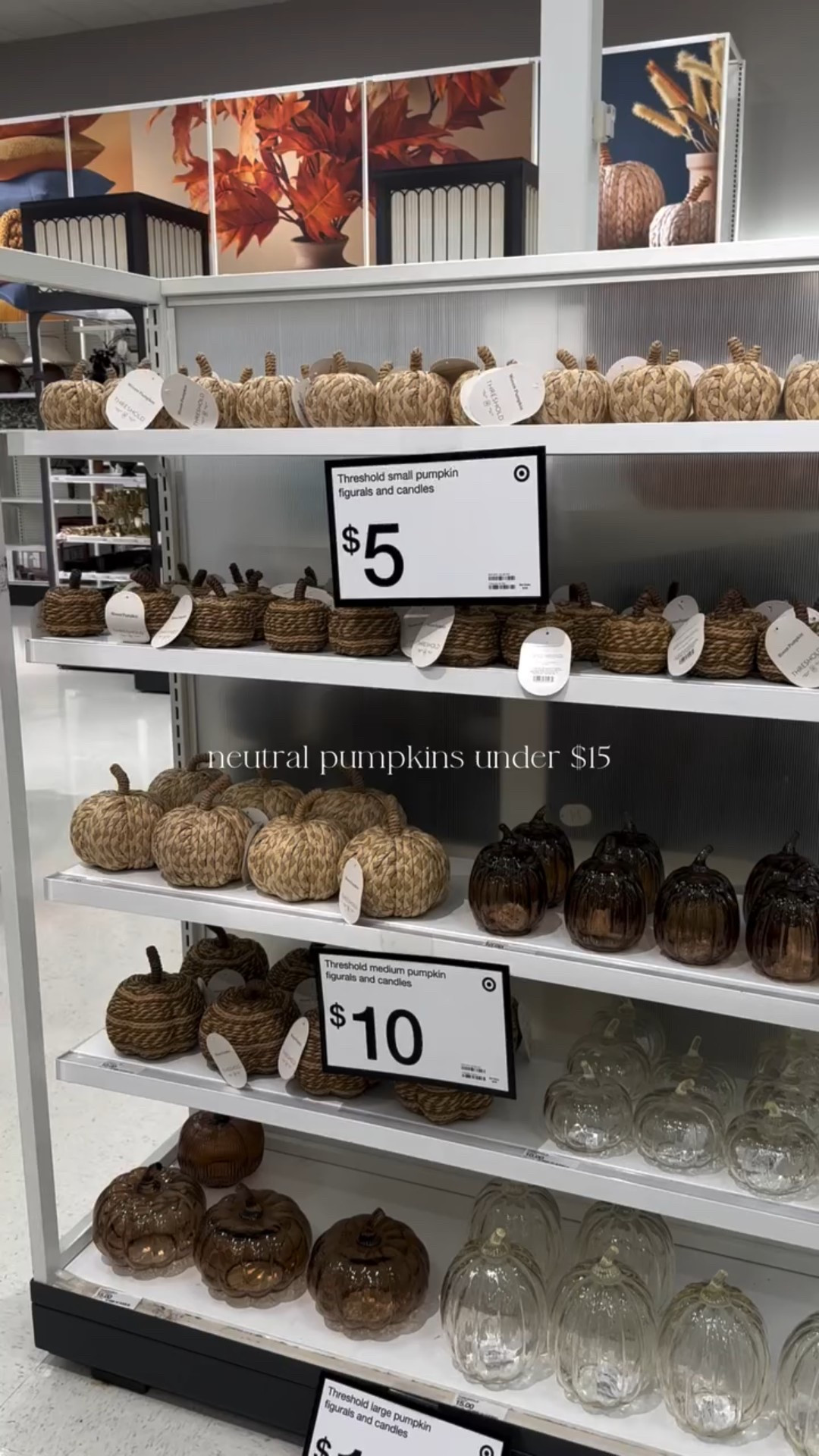 Hello first day of fall 🍂🍂

Comment SHOP for a 🔗 to my LTK 🤍

#fall #neutralfall #neutralfalldecor #afforabledecor #budgetfalldecor #shopping #fallstyle #neutralstyle #neitralhome