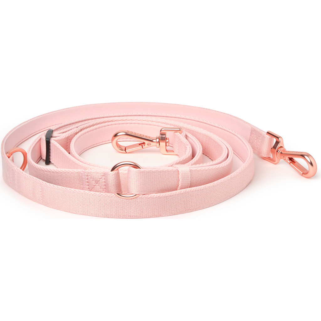 Dogistry Metro Hands Free Leash Blush in Blush - Medium at Nordstrom | Nordstrom