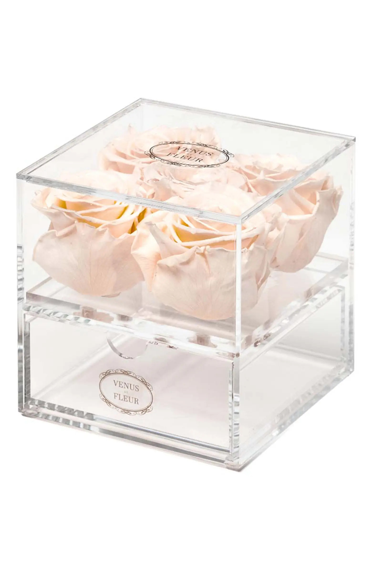 Venus ET Fleur Le Clair Cinq Eternity Roses | Nordstrom | Nordstrom