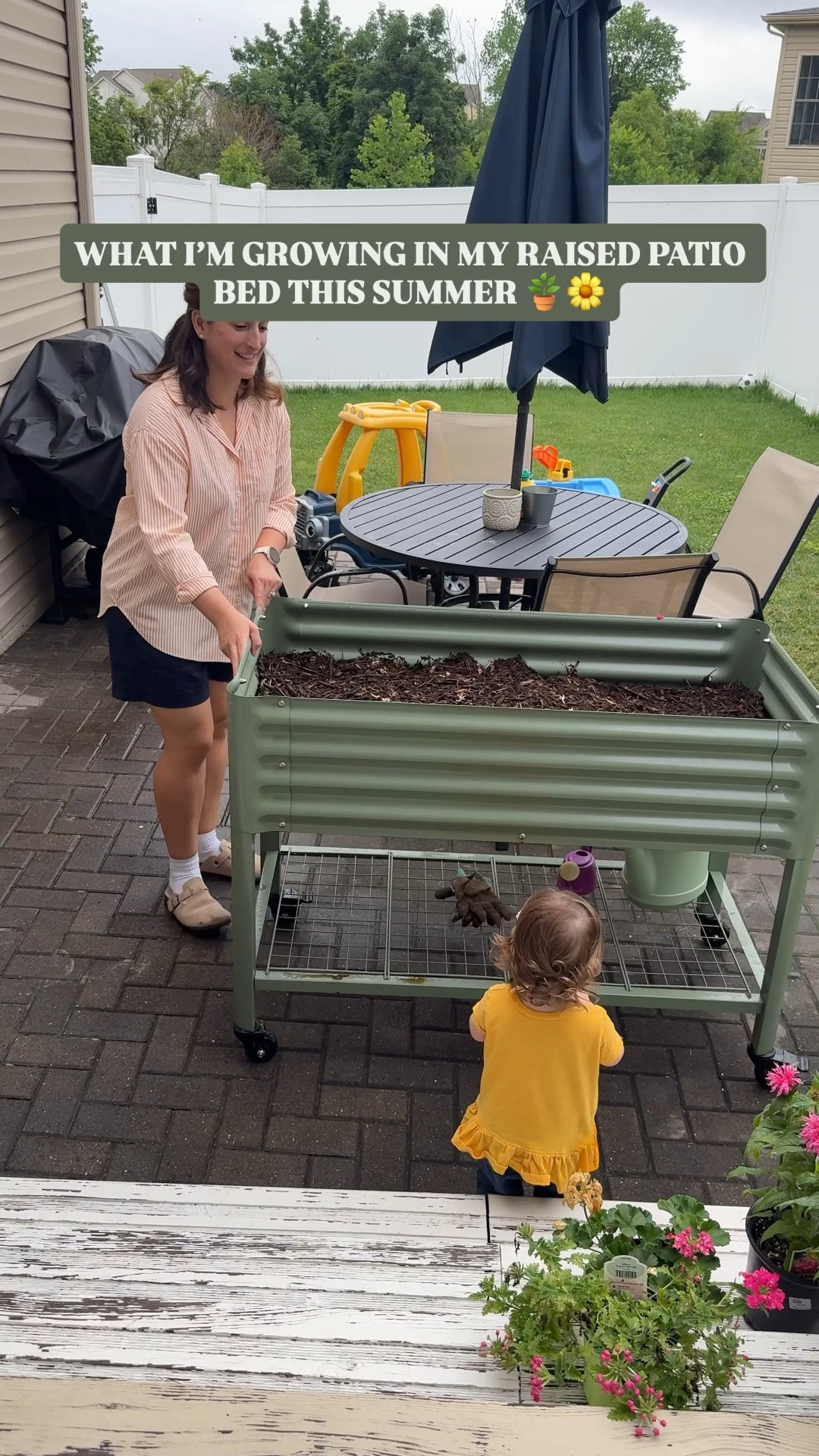 What I’m growing in my raised garden bed this summer 🌿
It’s our first season using this compact Vego elevated bed, so I kept it simple with easy summer herbs and colorful flowers. The raised design makes it perfect for small patios or yards — great airflow, great drainage, and so easy to care for.

Still thinking about starting a summer garden? It’s not too late to add fresh flowers or herbs to your outdoor space. Shop everything I used below — including the bed itself!

#LTKGarden #SmallSpaceGarden #RaisedBedGardening #PatioGardenIdeas #VegoGarden #OutdoorLiving #UrbanGardener #SummerFlowers #GardenOnPatio #LTKhome #LTKsummer #LTKherbs #BalconyGardenIdeas #ContainerGardenSetup #HerbGardenInspiration


#LTKSeasonal #LTKHome #LTKFamily