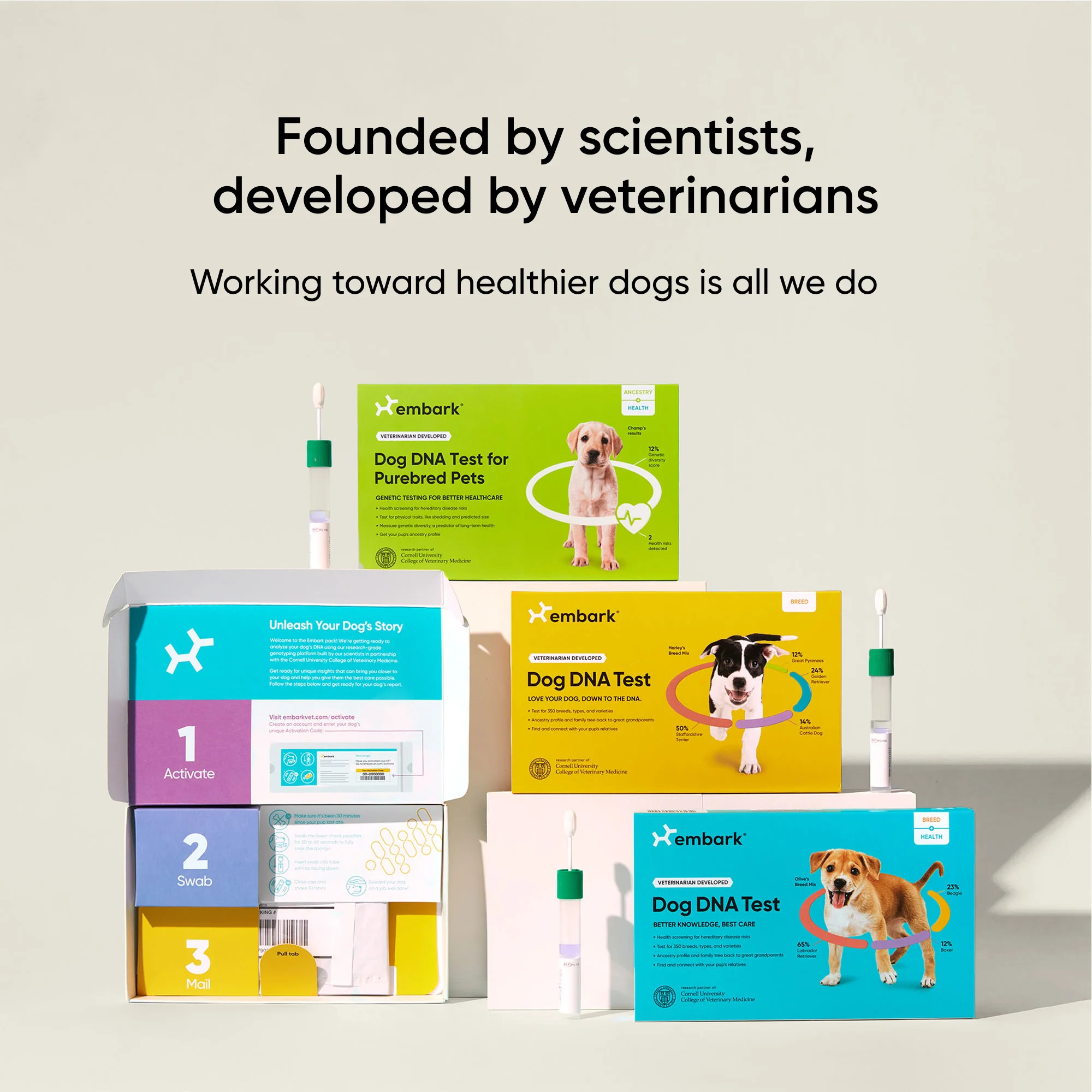 Embark dog DNA test kits | Embark Vet