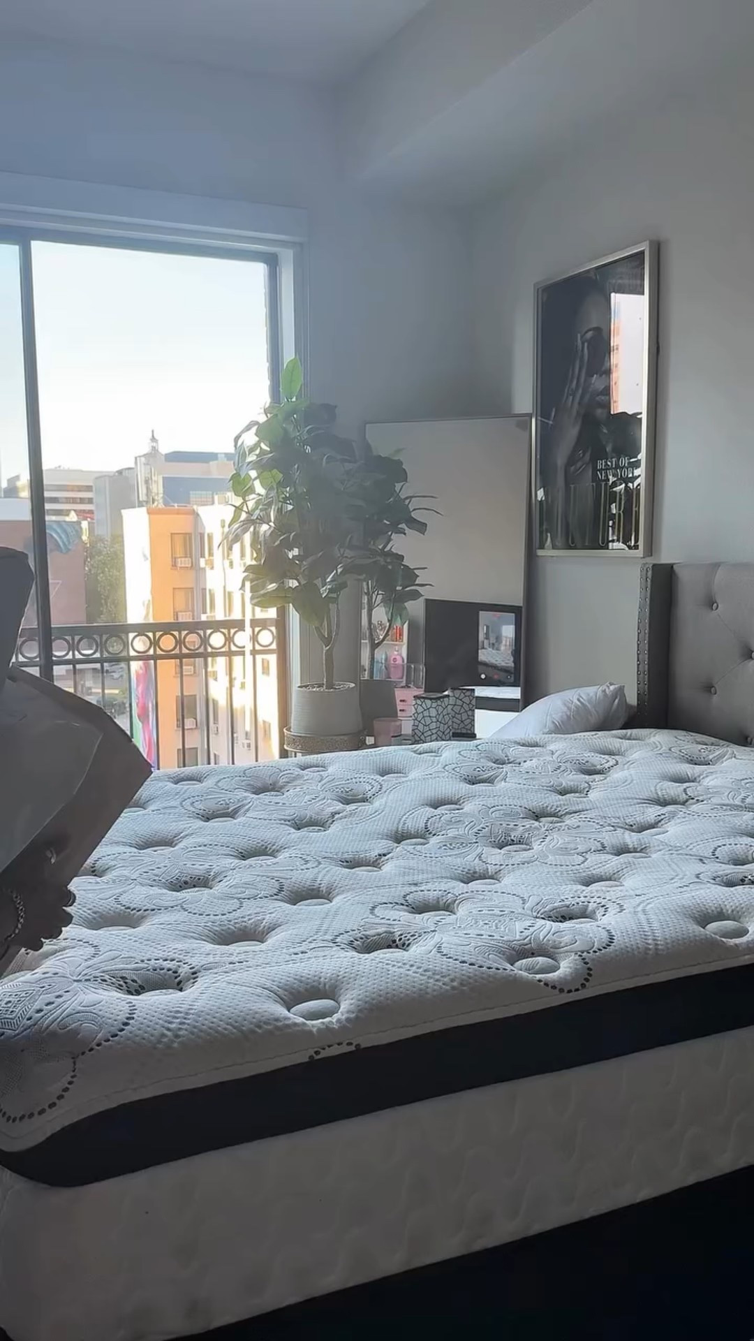 Under $100 Wayfair Bedroom Refresh 🩷
I grabbed a few home finds that totally elevated my bed setup: a bed skirt (finally hiding that frame 😅), a cozy quilt set that’s king-sized on my queen bed, and a soft pink fur throw that ties it all together.

Everything’s from Wayfair and linked in my storefront under “Bedroom Finds.”
And if you’re a creator, there’s a link in my bio to join the Wayfair Creator Program! 💫

#Wayfair #BedroomMakeover #AffordableHomeFinds #WayfairFinds #Under100Makeover #WayfairHome #WayfairBedroom #HomeGlowUp #WayfairPartner