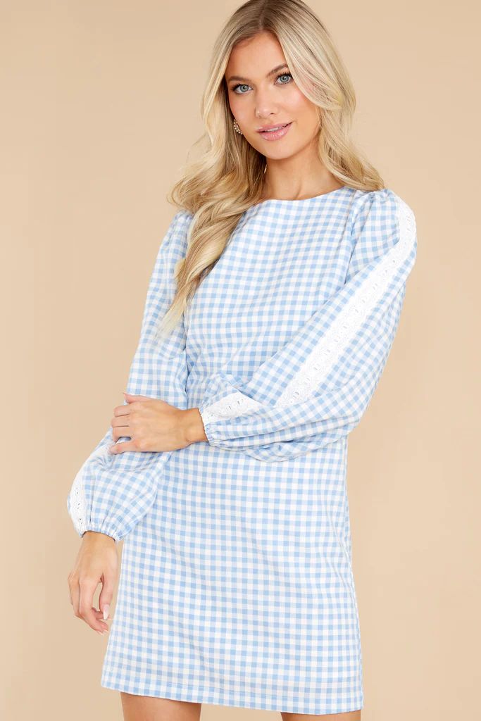 Carefreely Content Blue Gingham Dress | Red Dress 