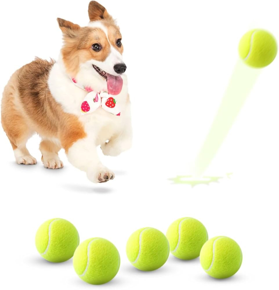 6 Pack Mini Tennis Balls for Pet Playing Fecth, 2 inch Dog Training Tennis Balls for Small Size D... | Amazon (US)
