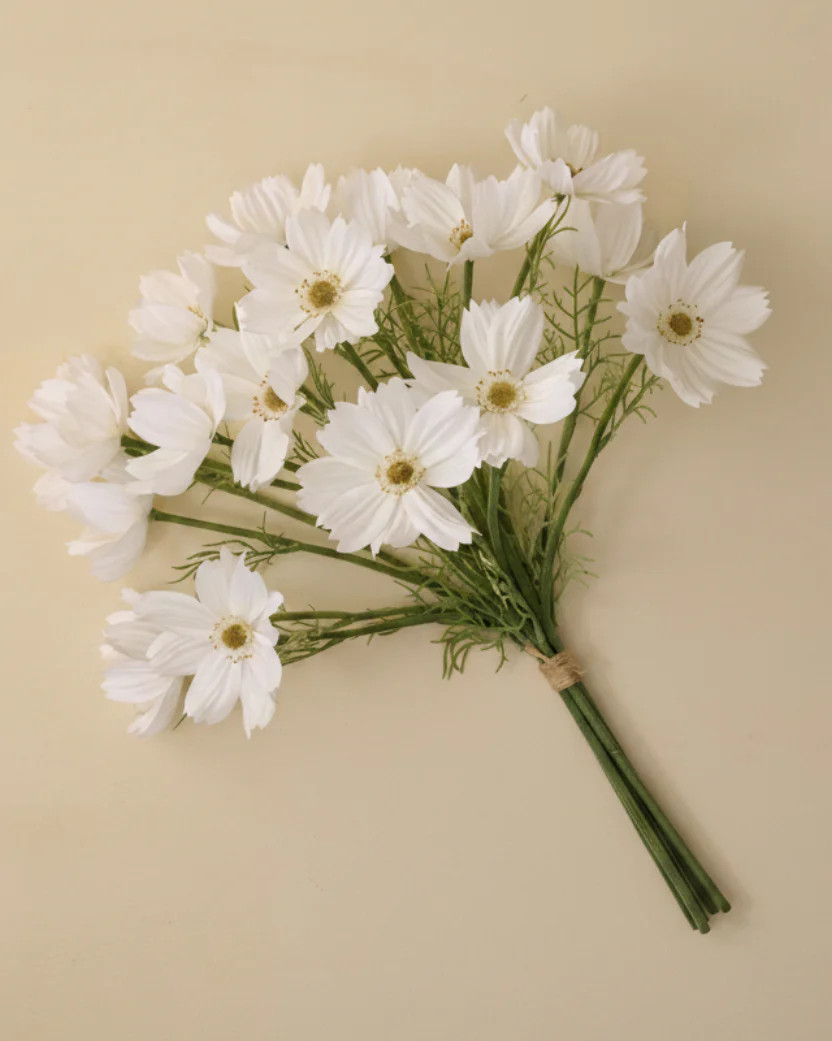 White Cosmos Bundle | Magnolia