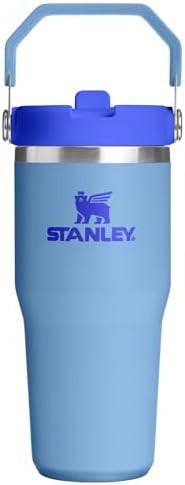 STANLEY IceFlow 2.0 Flip Straw Tumbler with Handle 14 oz | Twist On Lid and Flip Up Straw | Leakp... | Amazon (US)