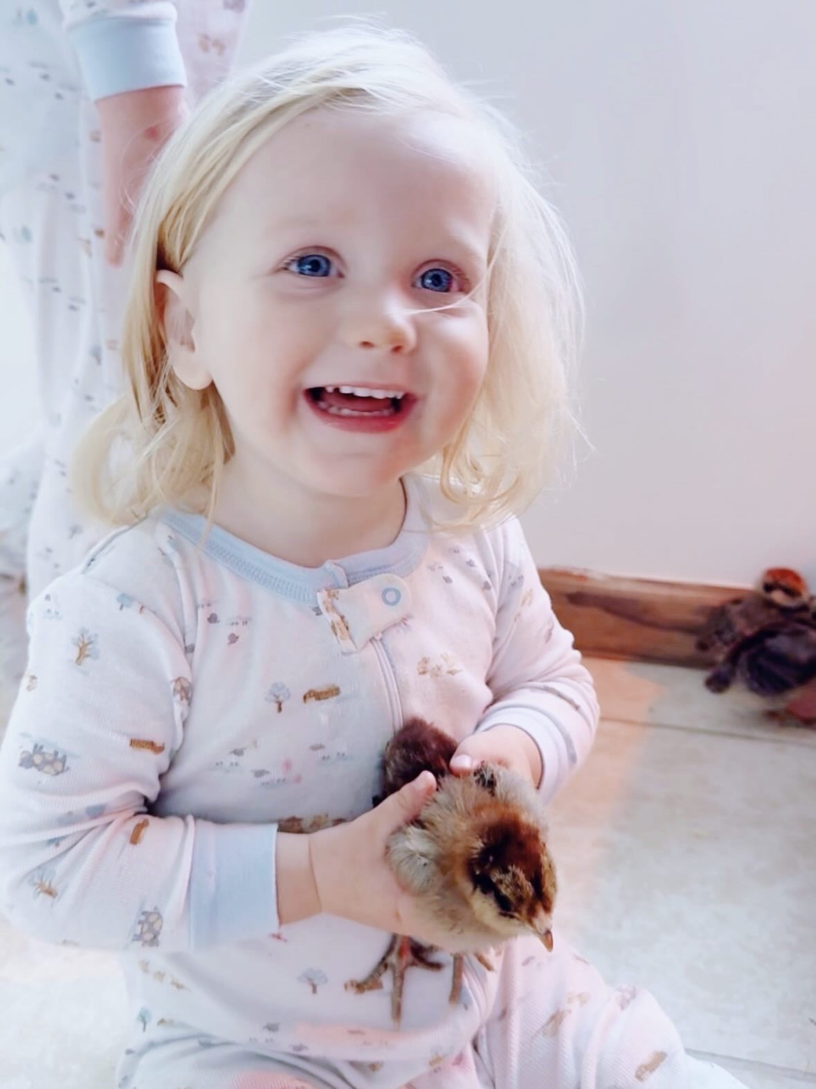 My new favorite photo of Sweet Baby Levi Rhett… ever!!! 👶🏼🐥🥰 I mean… it just doesn’t get cuter than this y’all!! 🐣🤭🐤 #babysandchicks #bestillmyheartyall #cutenessoverload #babychicks #babiesandchickies 