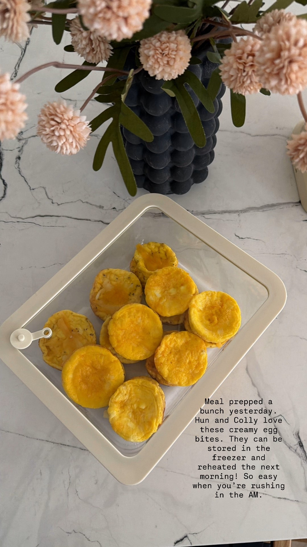 The best non toxic glass containers 

#LTKfoodie #LTKdayinmylife #LTKmomlife